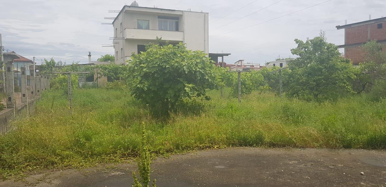 Shtepi dhe toke ne autostrade