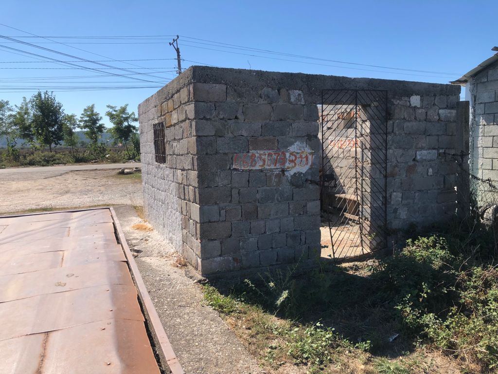 Shitet peshore 20 ton