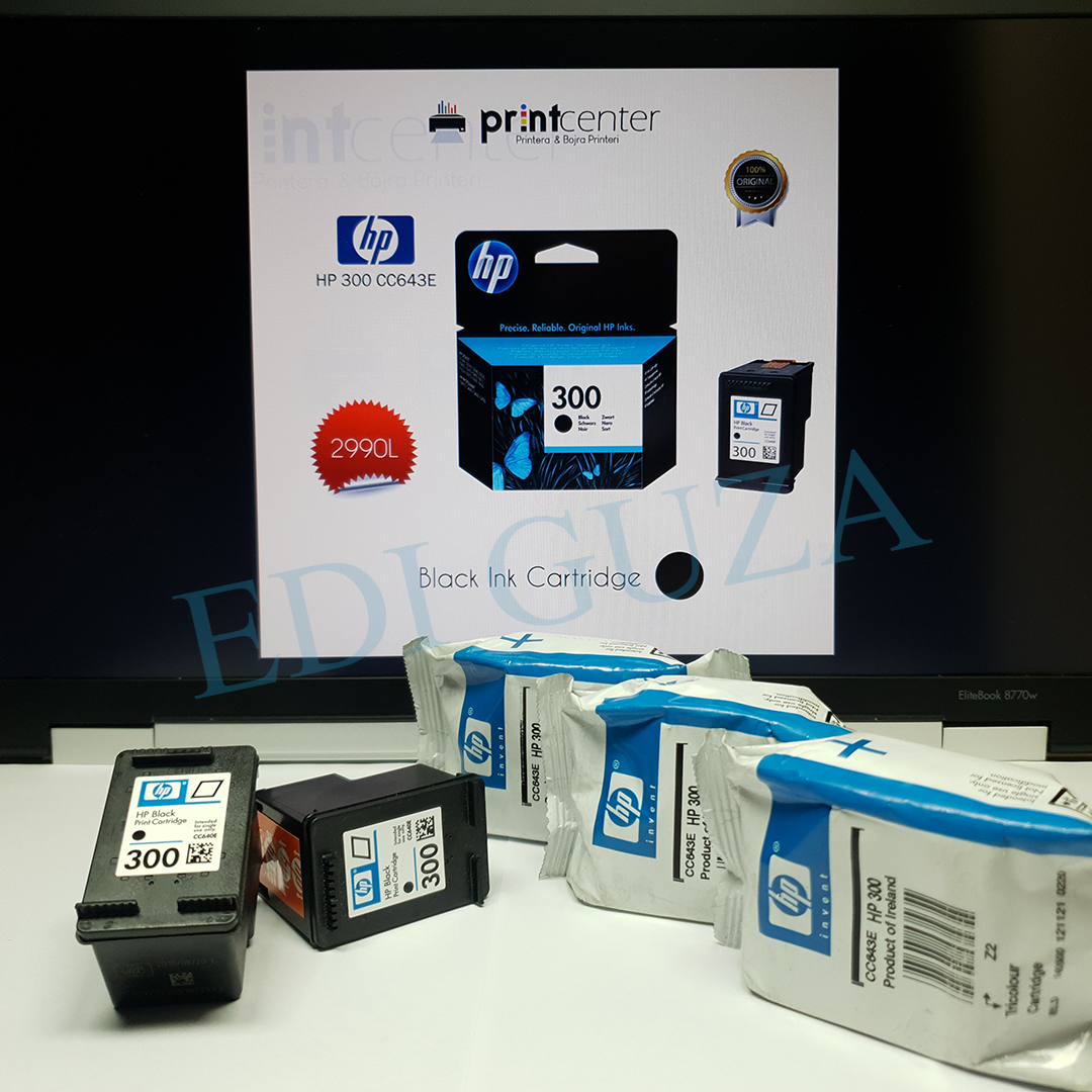 Bojë Printeri HP CC640EE 300 Original Ink Cartridge