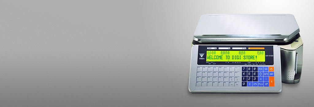 SHITET PESHORE DIXHITALE KOMPIUTER, PRINTER MODEL SM-5100 PRODHIM JAPONEZ E RE. 